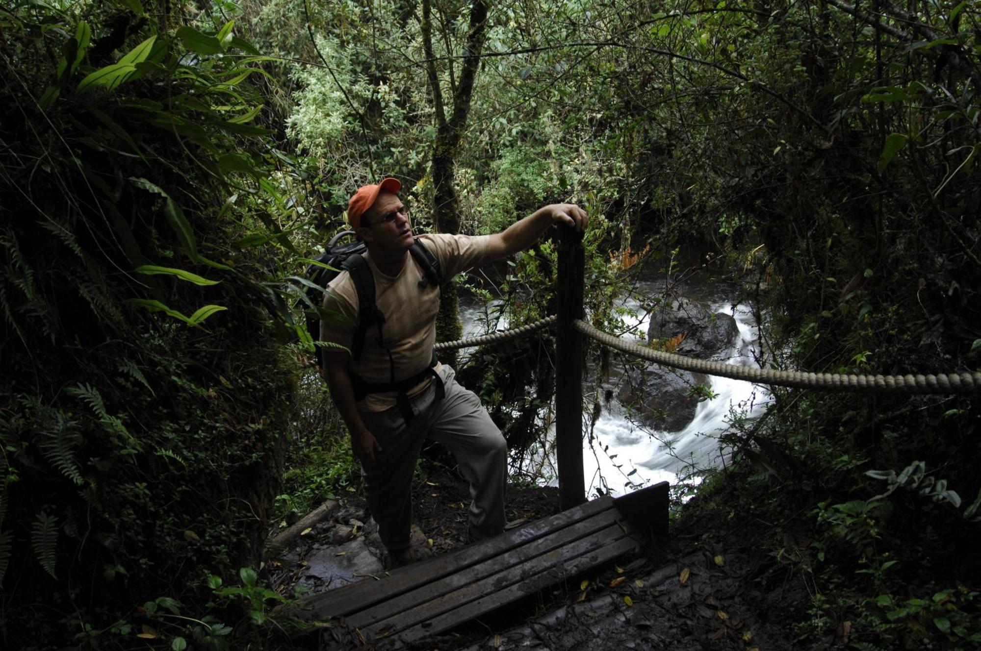 Termas De Papallacta Ngoại thất bức ảnh A bridge in the rainforest